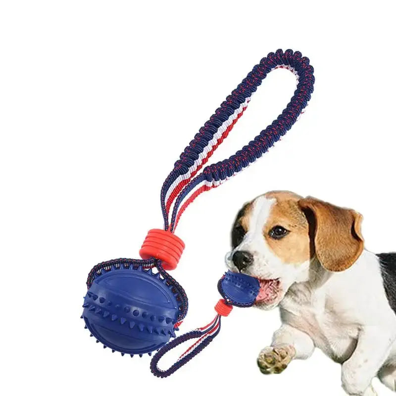 Interactive Teether With Rope Dog Ball null