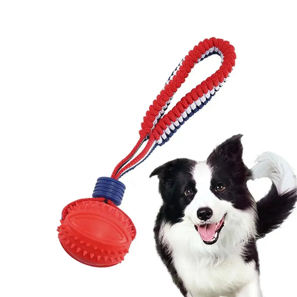 Interactive Teether With Rope Dog Ball null