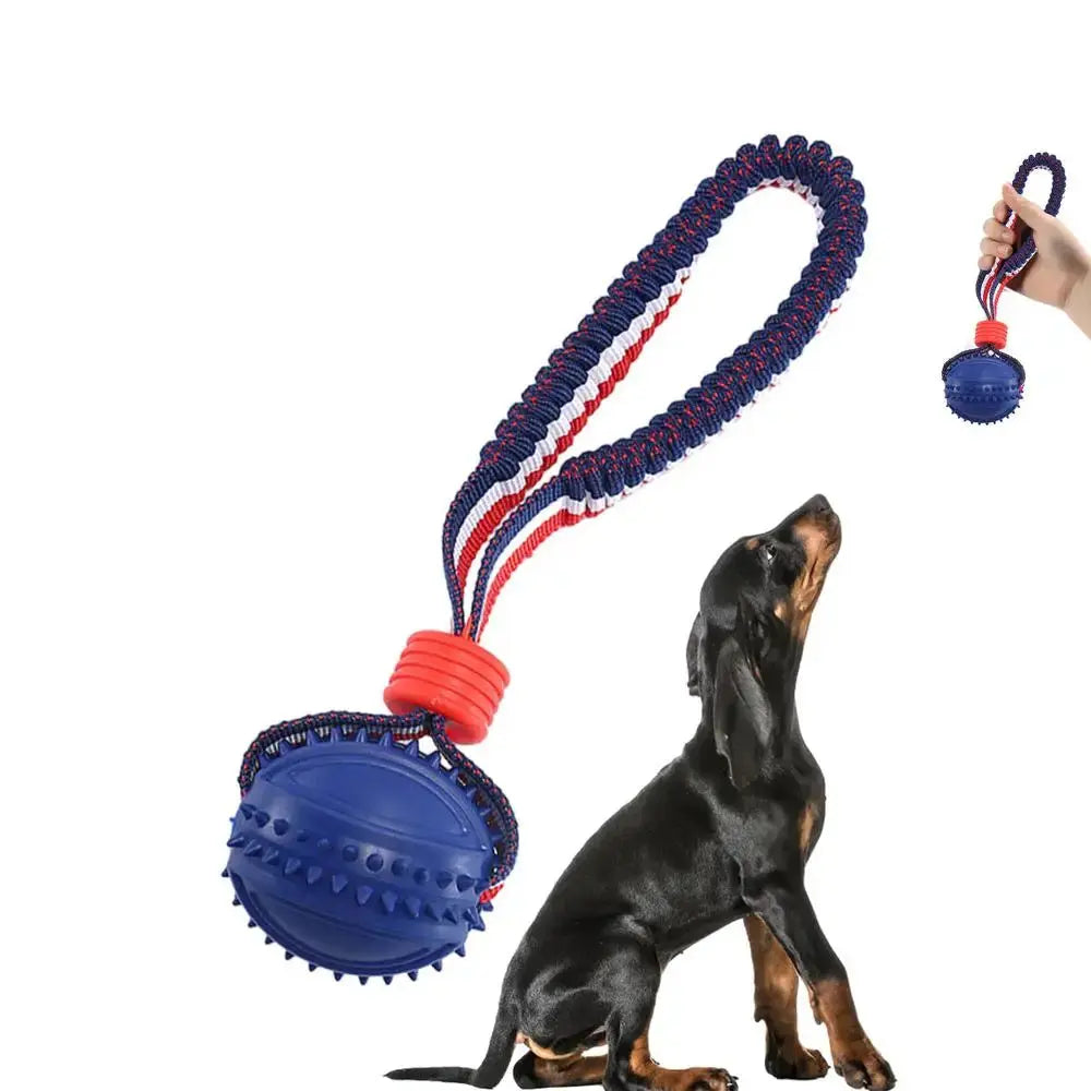 Interactive Teether With Rope Dog Ball null