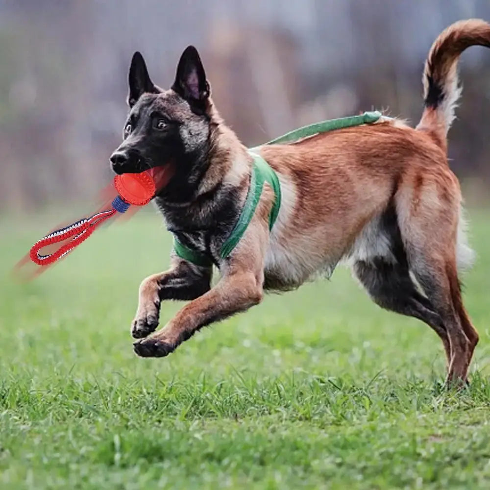 Interactive Teether With Rope Dog Ball null